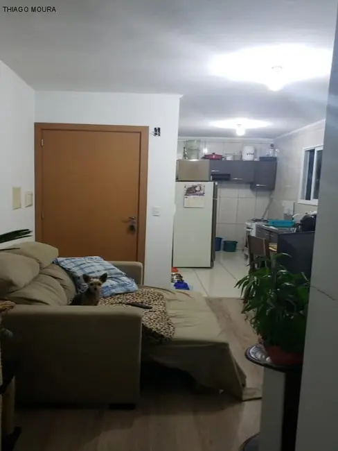 Apartamento com 2 quartos à venda, 55m2 em Desvio Rizzo, Caxias Do Sul - RS - imagem 5 Foto 5 de Apartamento com 2 quartos à venda, 55m2 em Desvio Rizzo, Caxias Do Sul - RS