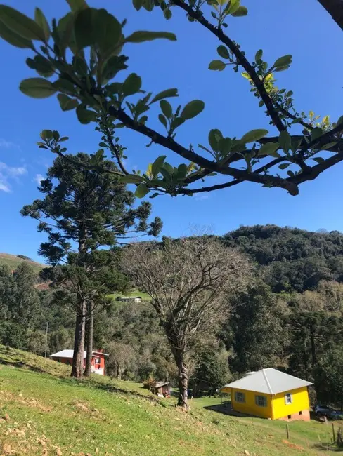 Foto 7 de Chácara com 6 quartos à venda, 8m2 em Flores Da Cunha - RS