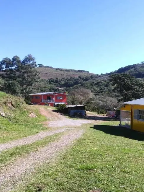 Foto 4 de Chácara com 6 quartos à venda, 8m2 em Flores Da Cunha - RS