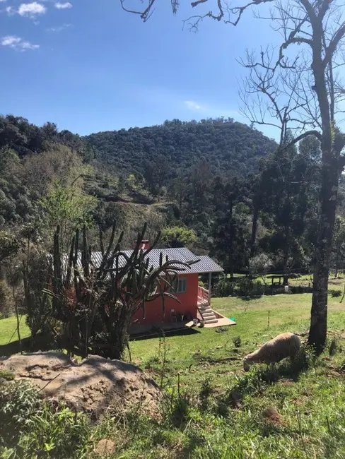 Foto 5 de Chácara com 6 quartos à venda, 8m2 em Flores Da Cunha - RS
