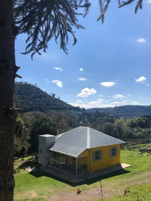 Foto 9 de Chácara com 6 quartos à venda, 8m2 em Flores Da Cunha - RS