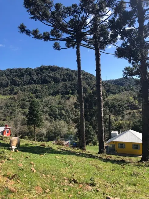 Foto 3 de Chácara com 6 quartos à venda, 8m2 em Flores Da Cunha - RS