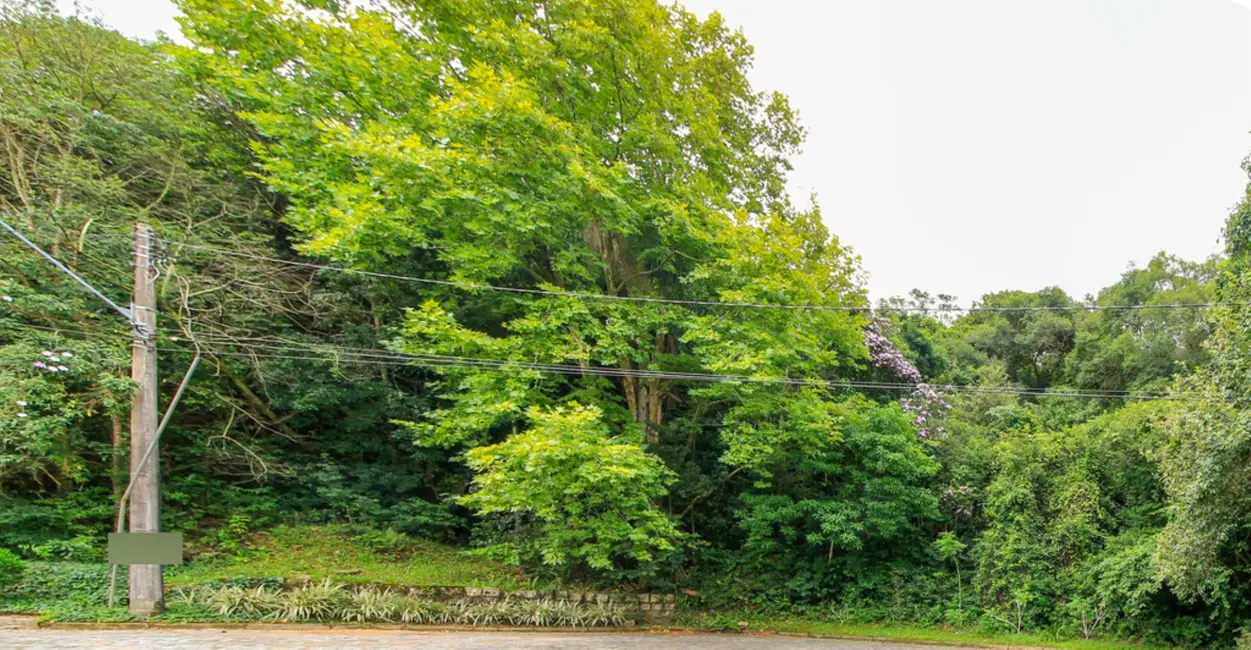 Foto 4 de Terreno / Lote à venda, 2451m2 em Jardim Isabel, Porto Alegre - RS