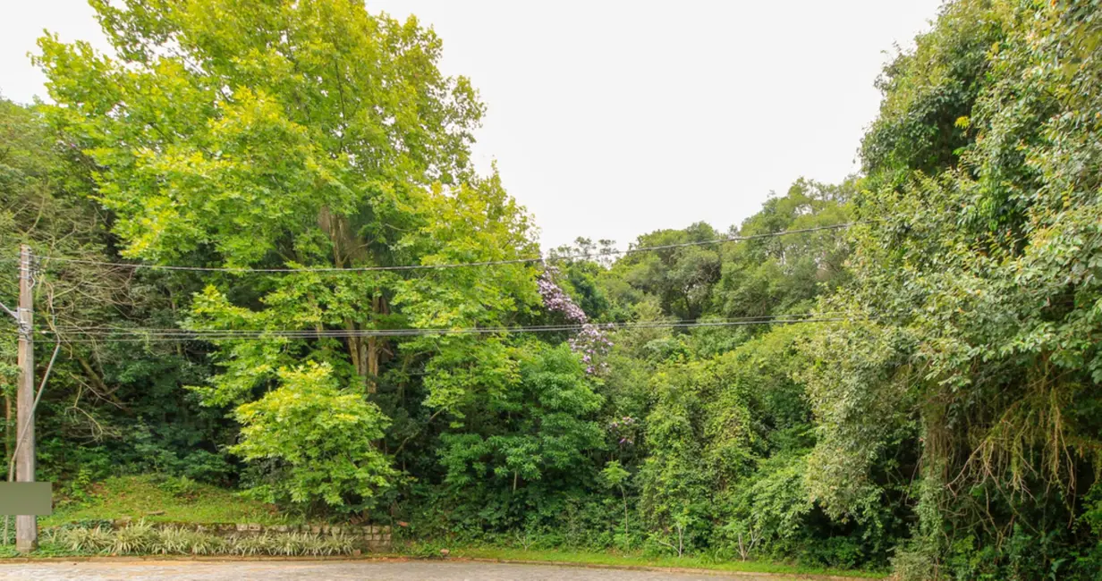 Foto 3 de Terreno / Lote à venda, 2451m2 em Jardim Isabel, Porto Alegre - RS