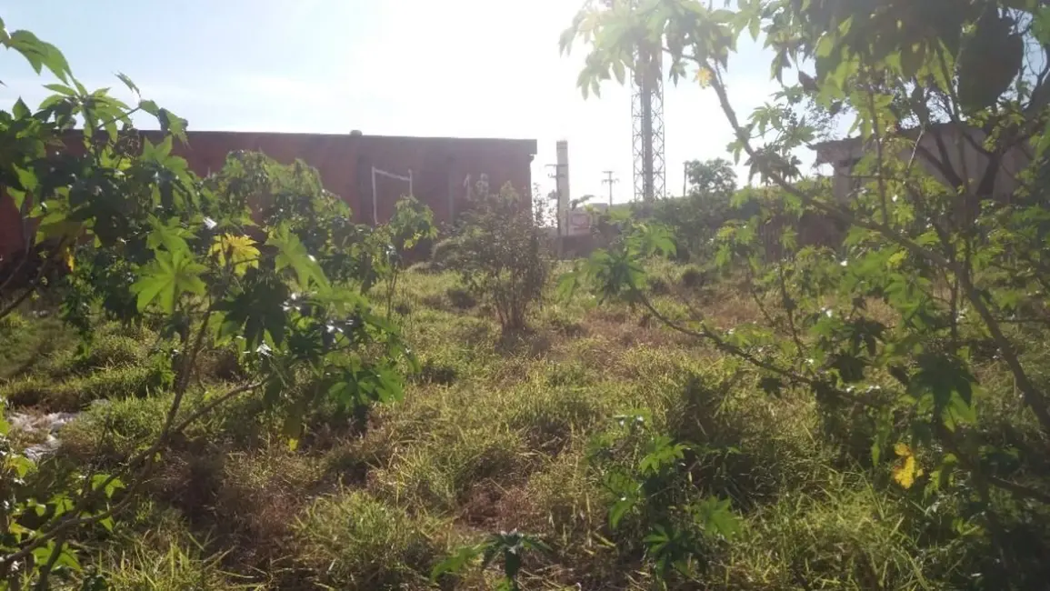 Foto 3 de Terreno / Lote à venda, 441m2 em Humaitá, Porto Alegre - RS