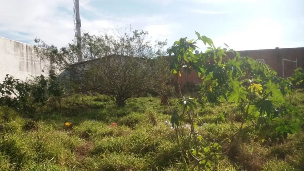 Foto 4 de Terreno / Lote à venda, 441m2 em Humaitá, Porto Alegre - RS