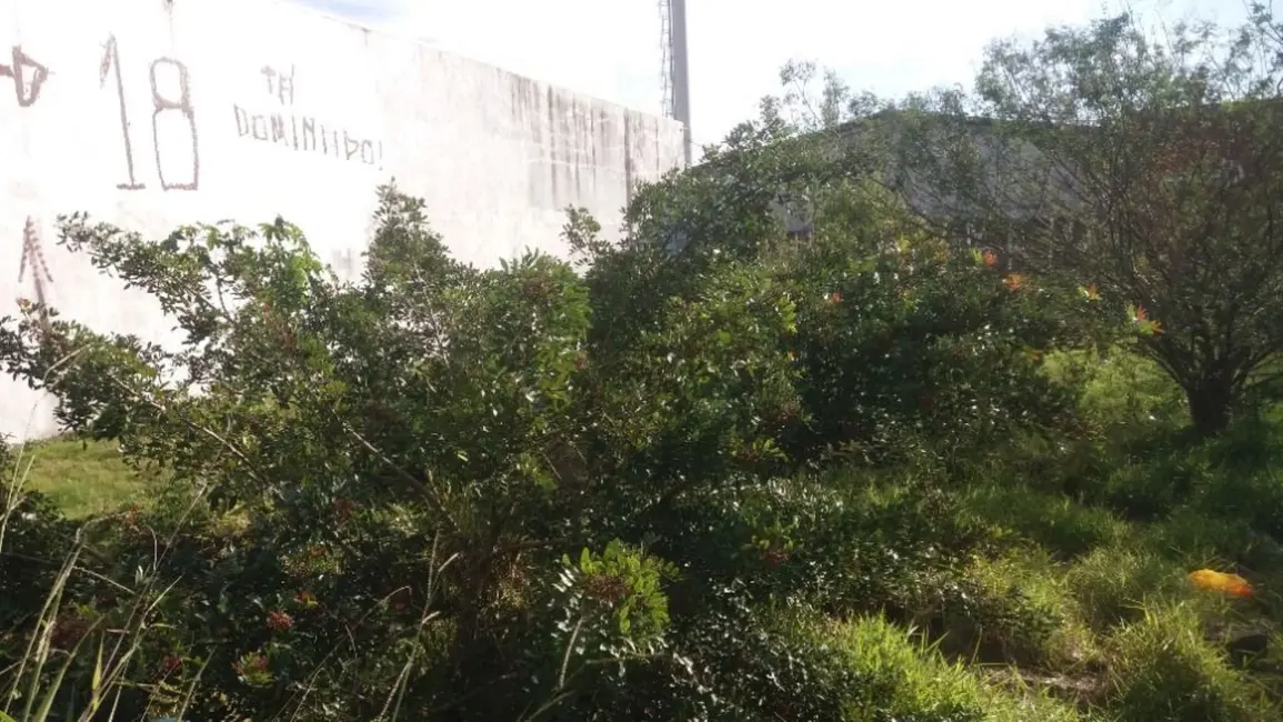 Foto 9 de Terreno / Lote à venda, 441m2 em Humaitá, Porto Alegre - RS