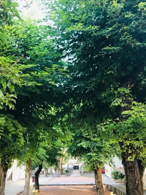 Foto 4 de Apartamento com 2 quartos à venda, 49m2 em Jardim Itu, Porto Alegre - RS