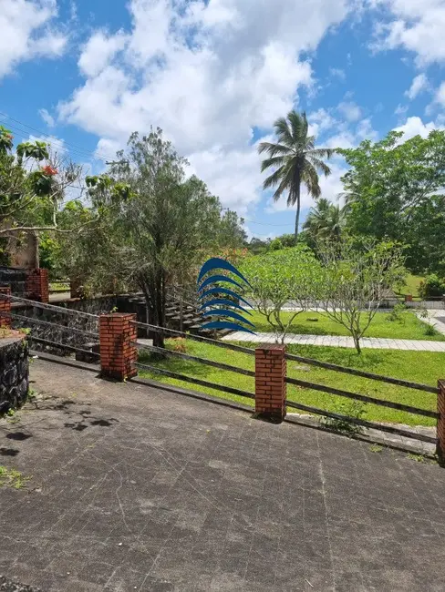 Terreno / Lote à venda, 35000m2 em Cassange, Salvador - BA - imagem 8 Foto 8 de Terreno / Lote à venda, 35000m2 em Cassange, Salvador - BA