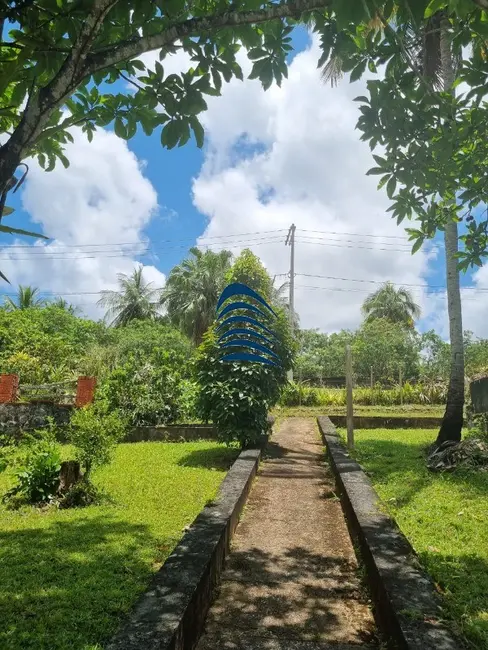 Terreno / Lote à venda, 35000m2 em Cassange, Salvador - BA - imagem 4 Foto 4 de Terreno / Lote à venda, 35000m2 em Cassange, Salvador - BA
