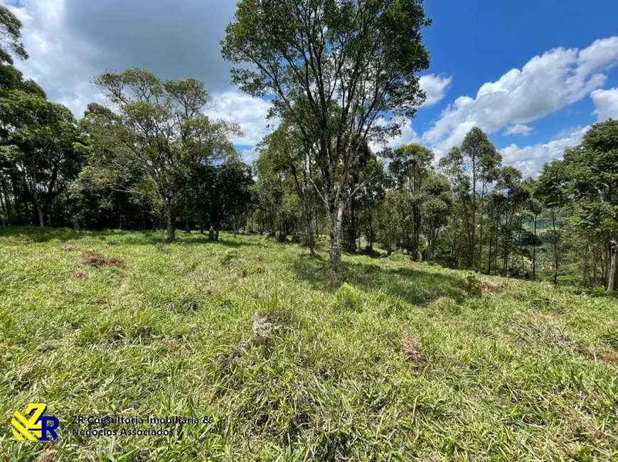 Foto 6 de Sítio / Rancho à venda, 41831m2 em Pedra Bela - SP