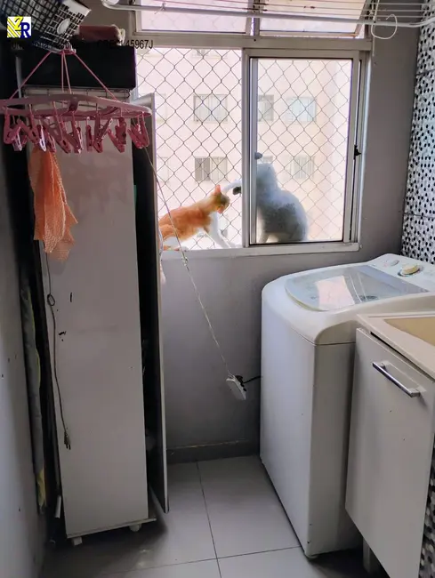 Foto 9 de Apartamento com 2 quartos à venda, 50m2 em Belenzinho, São Paulo - SP