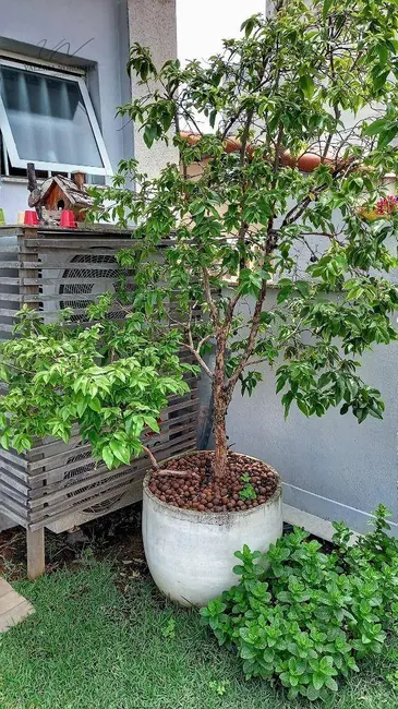 Foto 4 de Casa com 2 quartos à venda, 246m2 em Vila Rosália, Guarulhos - SP