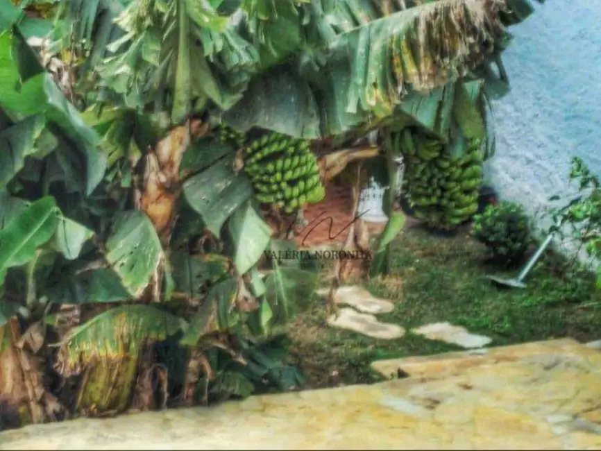 Sobrado com 4 quartos à venda, 393m2 em Jardim São Manoel, Guarulhos - SP - imagem 8 Foto 8 de Sobrado com 4 quartos à venda, 393m2 em Jardim São Manoel, Guarulhos - SP