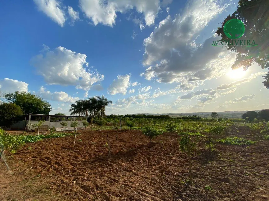 Foto 3 de Sítio / Rancho com 2 quartos à venda, 36300m2 em Elias Fausto - SP
