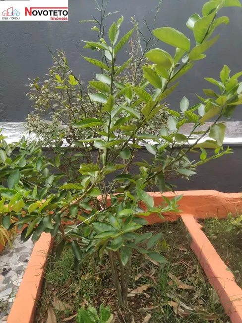 Foto 2 de Casa com 2 quartos à venda, 243m2 em Vila São Nicolau, São Paulo - SP