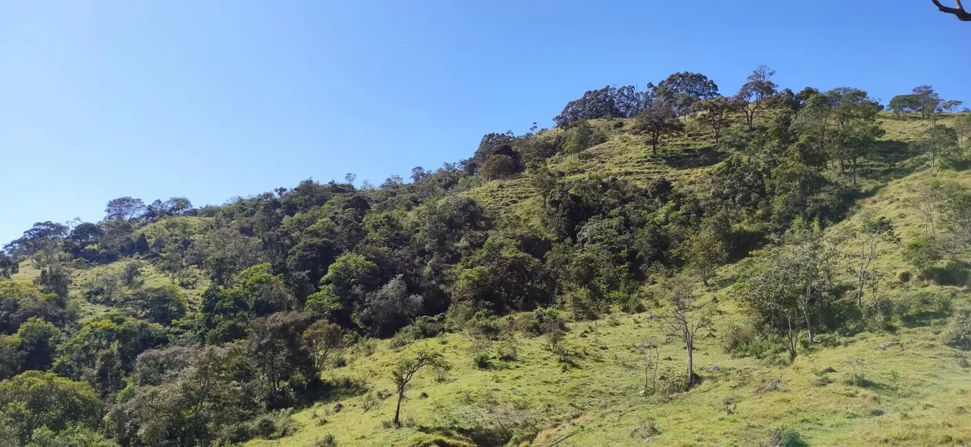 Foto 5 de Sítio / Rancho à venda, 28m2 em Área Rural de Guaratinguetá, Guaratingueta - SP