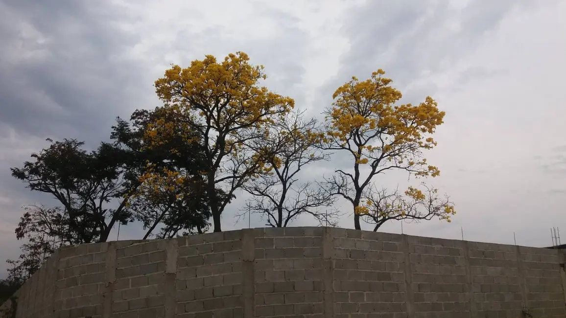 Foto 10 de Chácara à venda, 1100m2 em Parque das Garças, Guaratingueta - SP