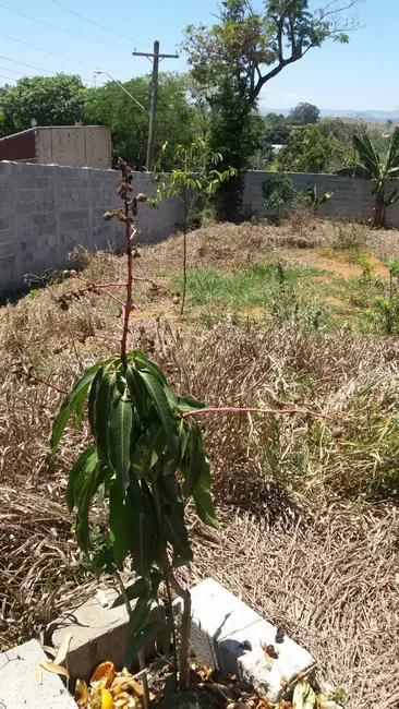 Foto 4 de Chácara à venda, 1100m2 em Parque das Garças, Guaratingueta - SP