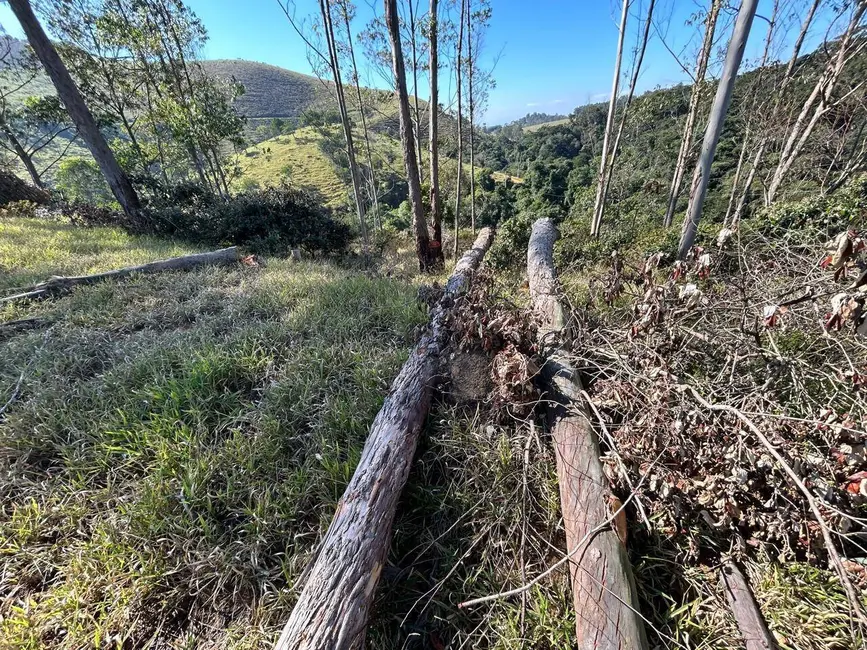 Foto 7 de Fazenda / Haras à venda e para alugar, 30m2 em Área Rural de Guaratinguetá, Guaratingueta - SP