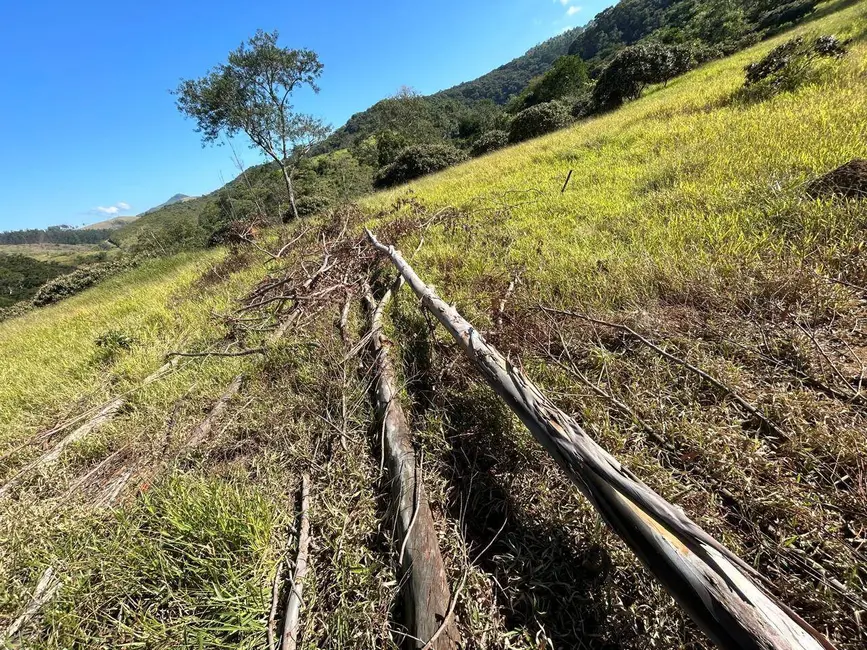 Foto 8 de Fazenda / Haras à venda e para alugar, 30m2 em Área Rural de Guaratinguetá, Guaratingueta - SP