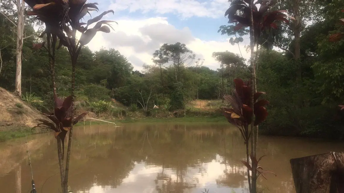 Foto 8 de Chácara com 3 quartos à venda em Guaratingueta - SP