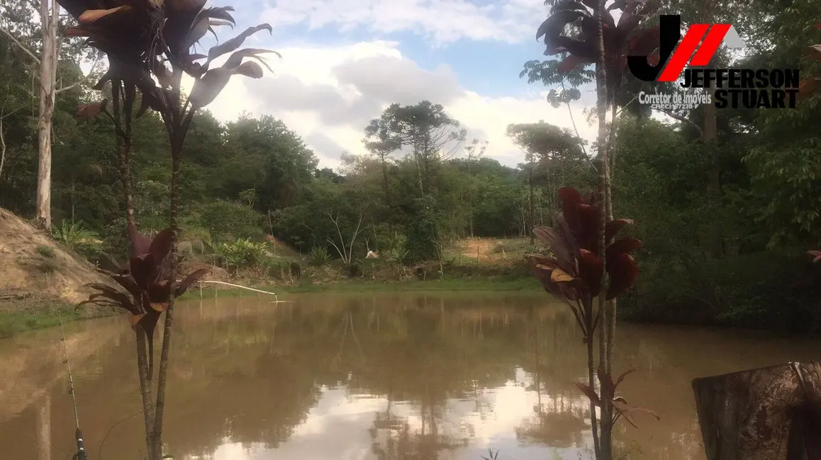 Chácara com 3 quartos à venda em Guaratingueta - SP - imagem 8 Foto 8 de Chácara com 3 quartos à venda em Guaratingueta - SP
