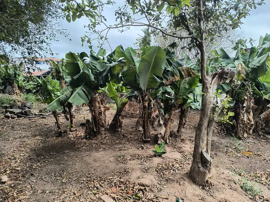Foto 4 de Terreno / Lote à venda, 1035m2 em Aparecida - SP