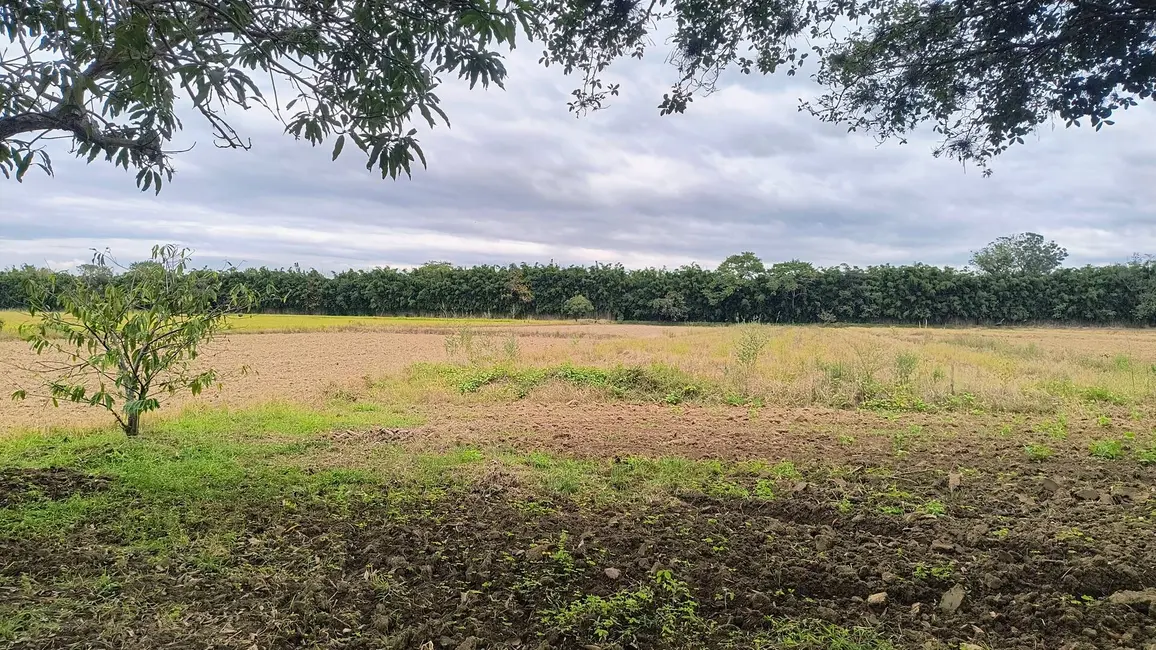 Foto 5 de Chácara com 2 quartos à venda, 30000m2 em Guaratingueta - SP