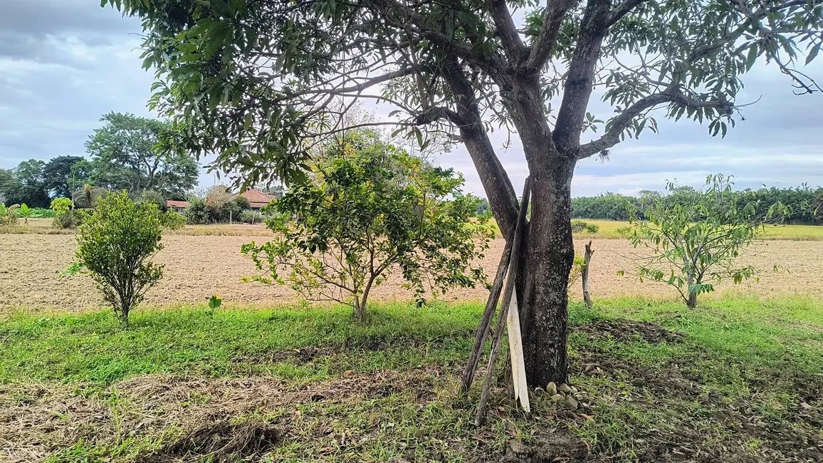 Foto 4 de Chácara com 2 quartos à venda, 30000m2 em Guaratingueta - SP