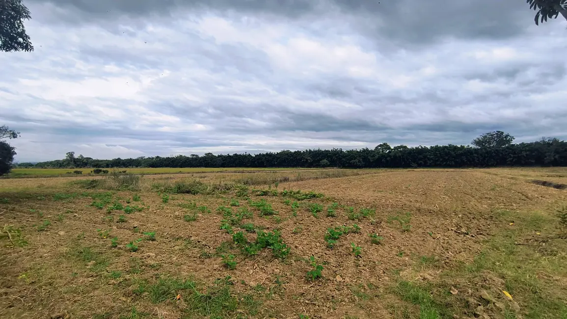 Foto 9 de Chácara com 2 quartos à venda, 30000m2 em Guaratingueta - SP