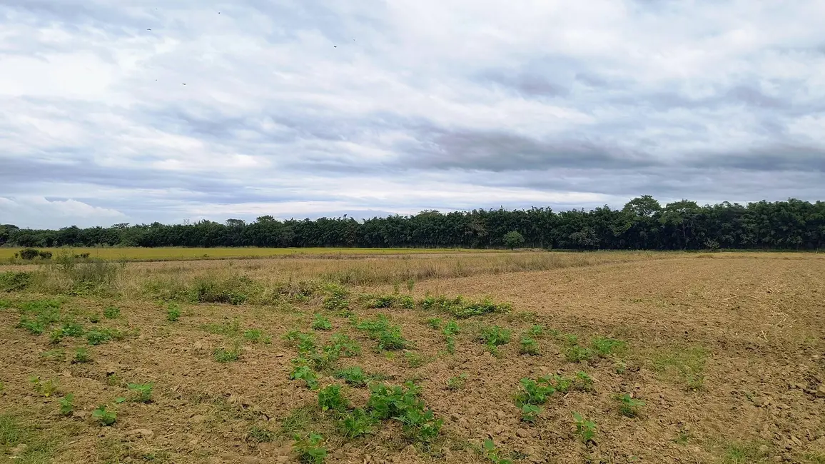 Foto 8 de Chácara com 2 quartos à venda, 30000m2 em Guaratingueta - SP
