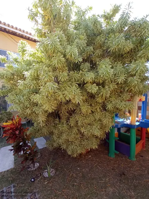 Foto 6 de Casa de Condomínio com 5 quartos à venda, 160m2 em Pitangueiras, Lauro De Freitas - BA
