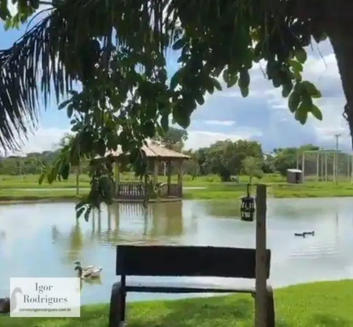 Terreno / Lote à venda, 600m2 em Rondonopolis - MT - imagem 6 Foto 6 de Terreno / Lote à venda, 600m2 em Rondonopolis - MT