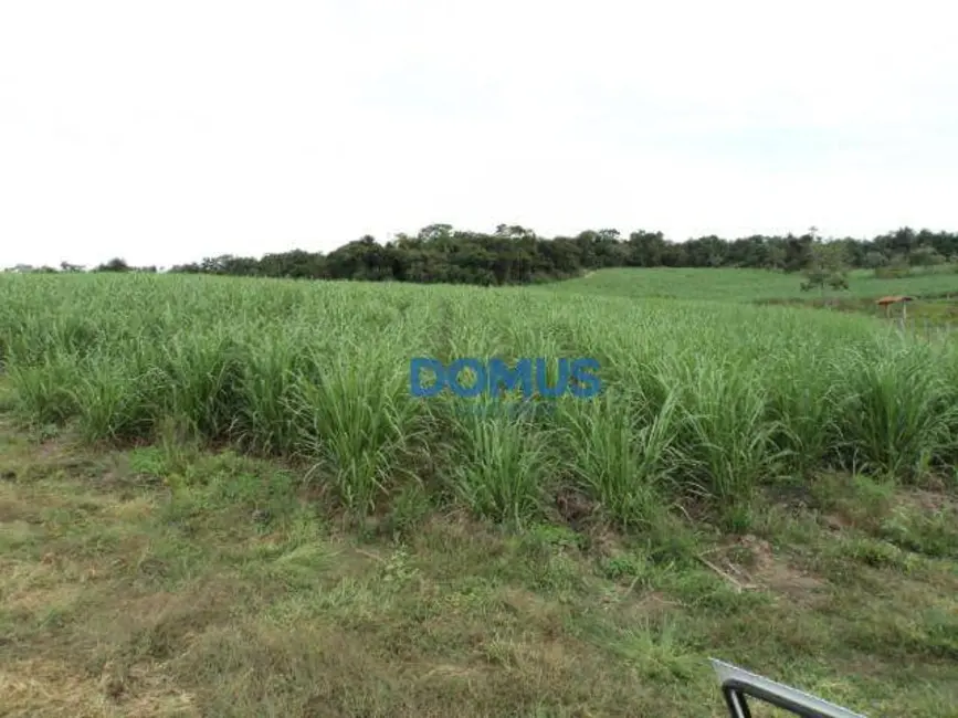 Sala Comercial à venda, 78000m2 em Borda da Mata, Cacapava - SP - imagem 6 Foto 6 de Sala Comercial à venda, 78000m2 em Borda da Mata, Cacapava - SP