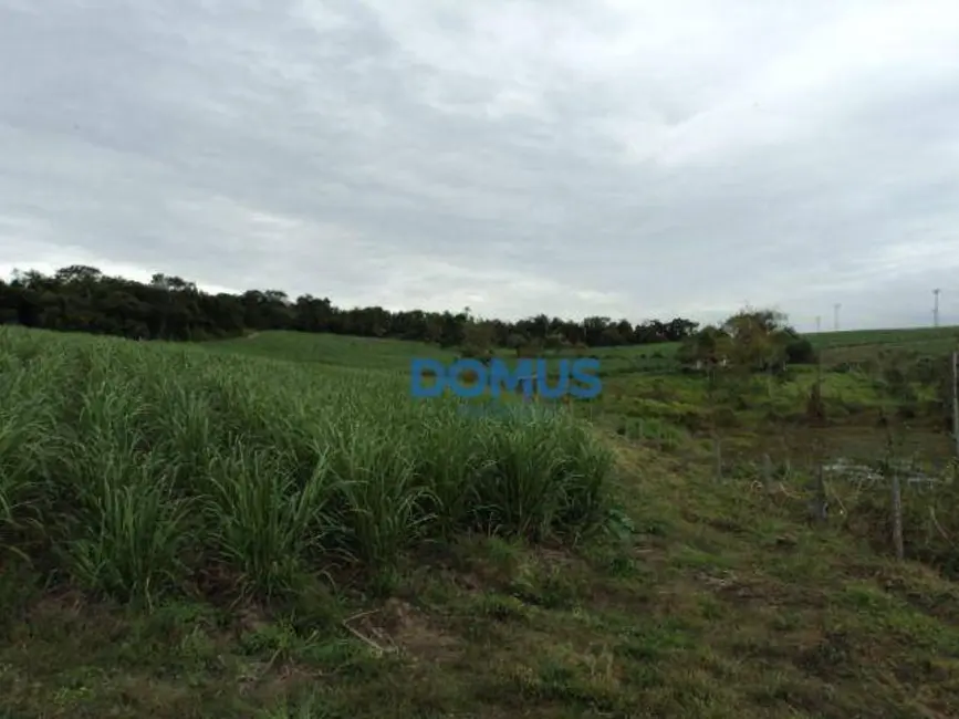 Sala Comercial à venda, 78000m2 em Borda da Mata, Cacapava - SP - imagem 4 Foto 4 de Sala Comercial à venda, 78000m2 em Borda da Mata, Cacapava - SP