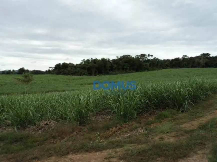 Sala Comercial à venda, 78000m2 em Borda da Mata, Cacapava - SP - imagem 9 Foto 9 de Sala Comercial à venda, 78000m2 em Borda da Mata, Cacapava - SP