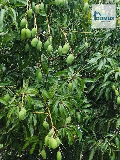 Foto 5 de Chácara com 2 quartos à venda, 22800m2 em Monteiro Lobato - SP