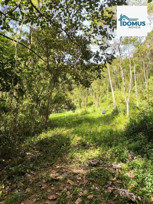 Foto 3 de Terreno / Lote à venda, 72600m2 em Monteiro Lobato - SP