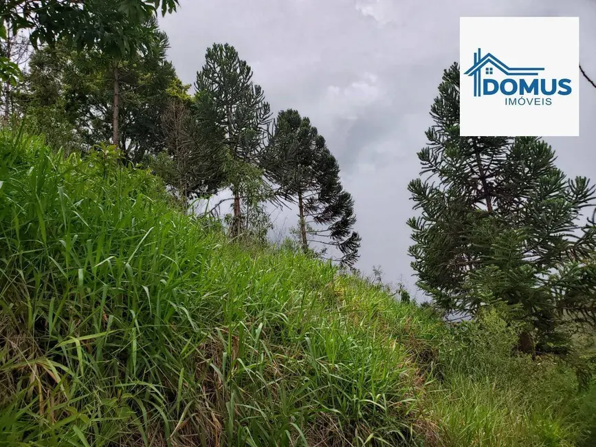 Foto 6 de Sítio / Rancho à venda, 30000m2 em Sao Jose Dos Campos - SP