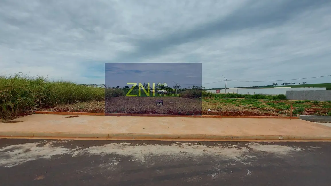 Terreno / Lote à venda, 499m2 em Ribeirao Preto - SP - imagem 4 Foto 4 de Terreno / Lote à venda, 499m2 em Ribeirao Preto - SP