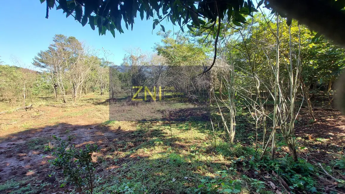 Chácara com 3 quartos à venda, 5148m2 em Jardinopolis - SP - imagem 8 Foto 8 de Chácara com 3 quartos à venda, 5148m2 em Jardinopolis - SP