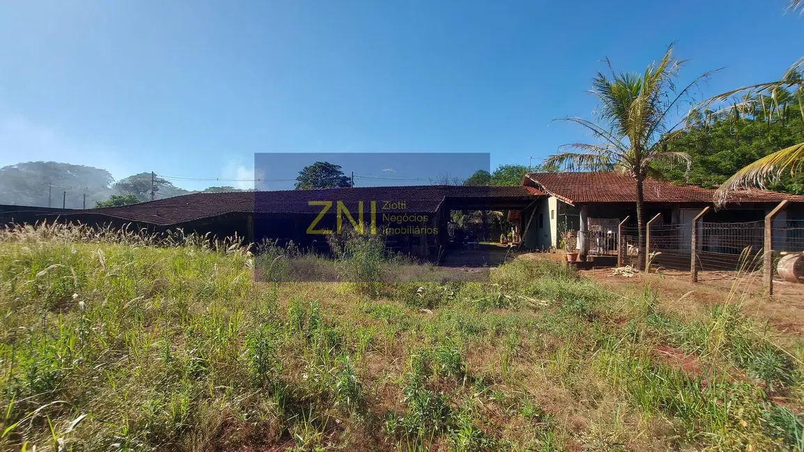 Chácara com 3 quartos à venda, 5148m2 em Jardinopolis - SP - imagem 5 Foto 5 de Chácara com 3 quartos à venda, 5148m2 em Jardinopolis - SP