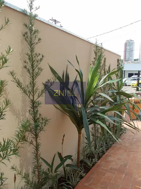 Foto 6 de Sala Comercial para alugar, 32m2 em Jardim Botânico, Ribeirao Preto - SP