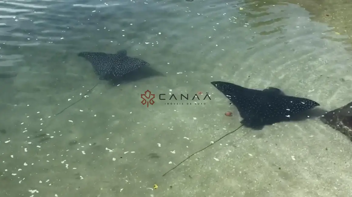 Foto 4 de Casa com 5 quartos à venda, 600m2 em Frade (Cunhambebe), Angra Dos Reis - RJ