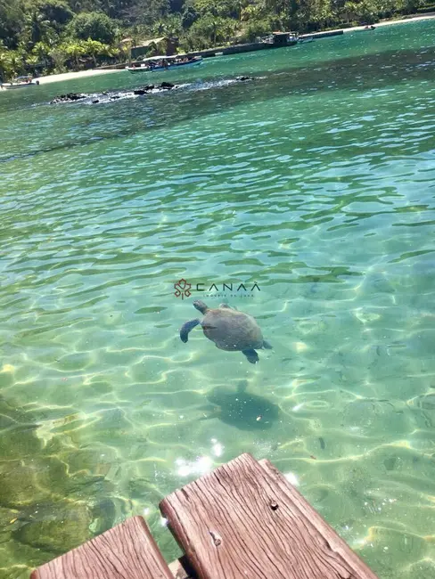 Foto 4 de Casa com 4 quartos à venda, 300m2 em Angra Dos Reis - RJ