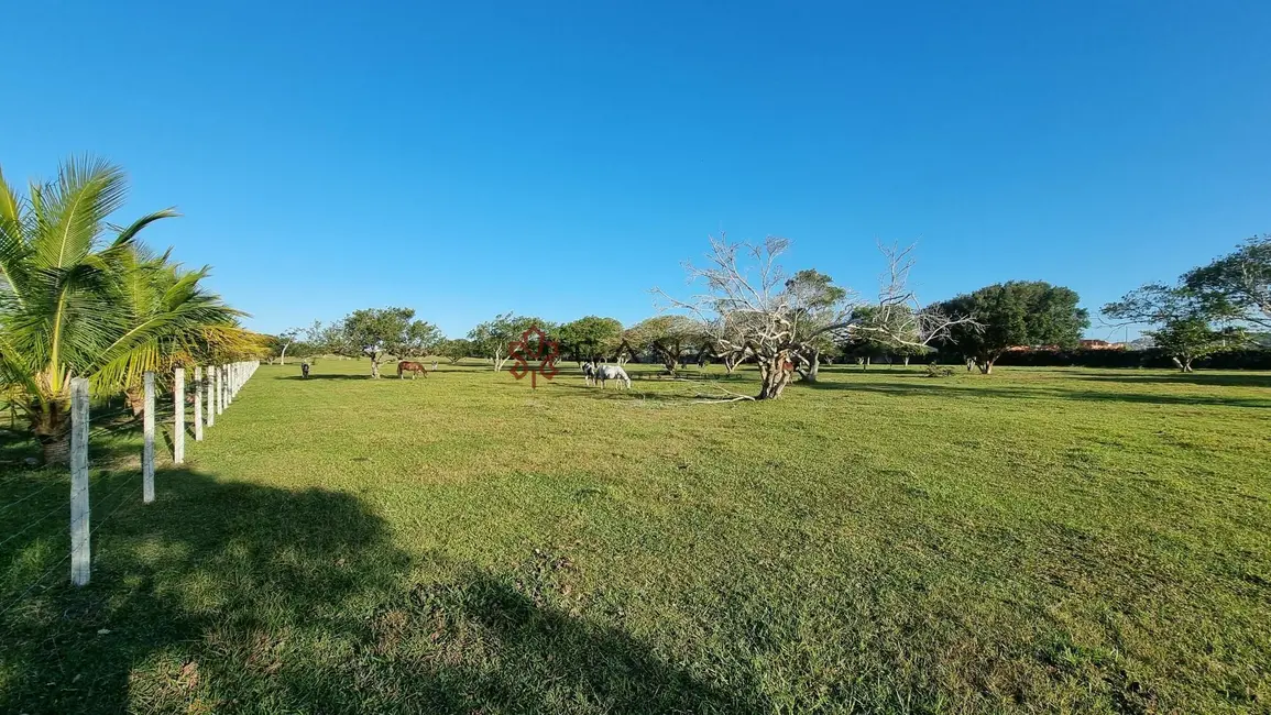 Foto 7 de Fazenda / Haras com 2 quartos à venda, 16777215m2 em Cabo Frio - RJ
