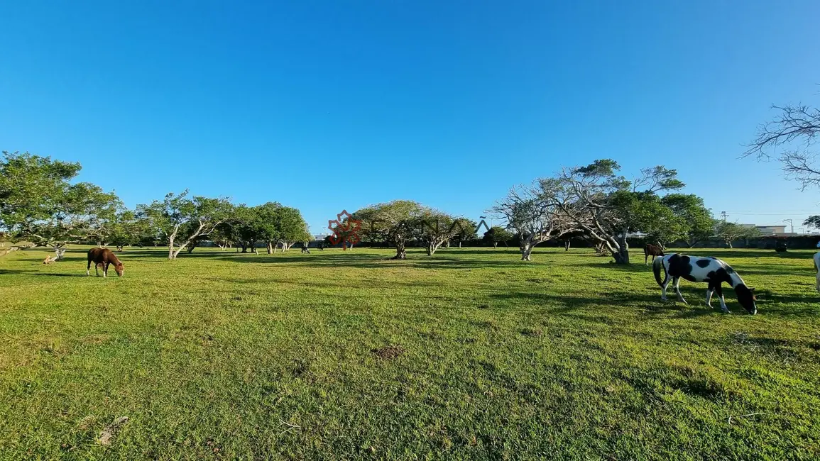 Foto 5 de Fazenda / Haras com 2 quartos à venda, 16777215m2 em Cabo Frio - RJ