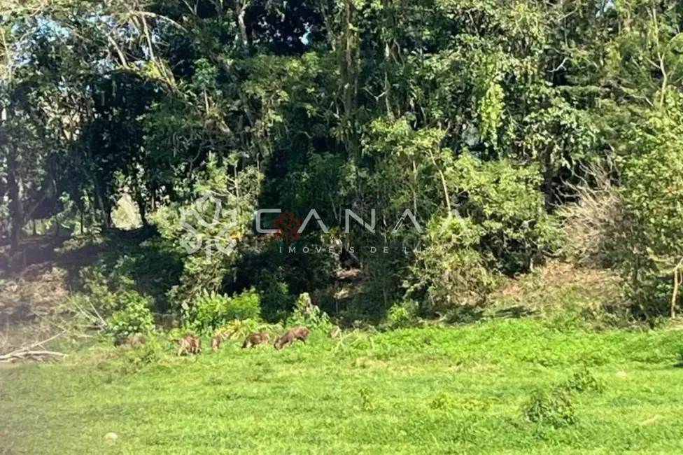 Terreno / Lote à venda, 4215m2 em Frade (Cunhambebe), Angra Dos Reis - RJ - imagem 4 Foto 4 de Terreno / Lote à venda, 4215m2 em Frade (Cunhambebe), Angra Dos Reis - RJ