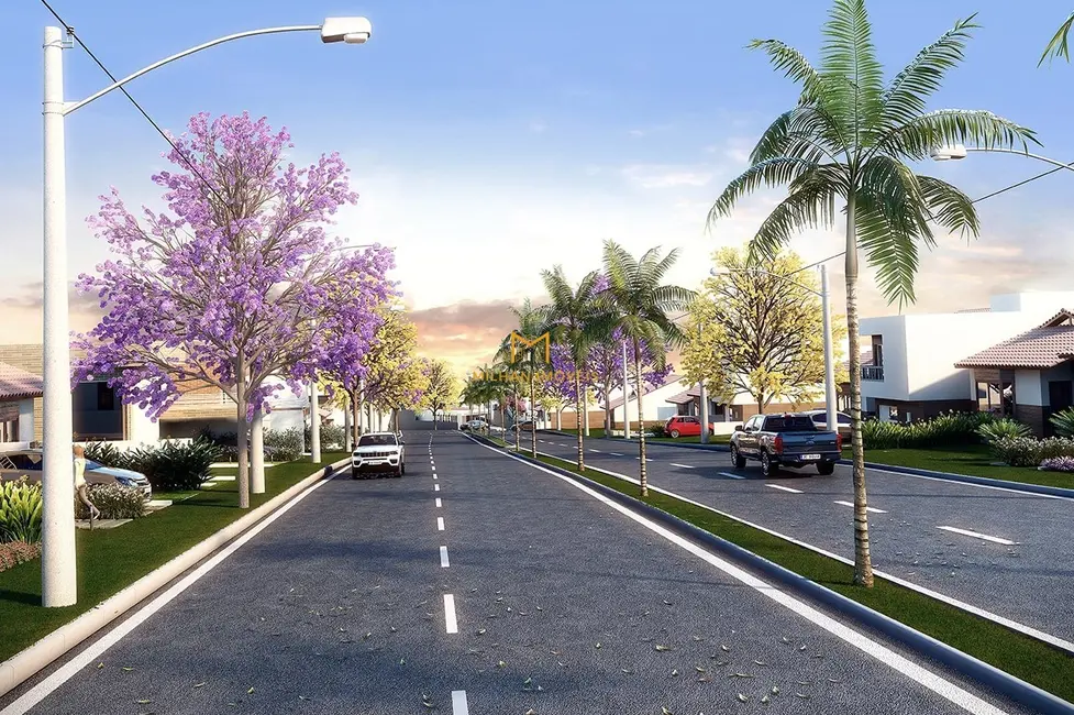 Foto 4 de Terreno / Lote à venda, 175m2 em Elias Fausto - SP
